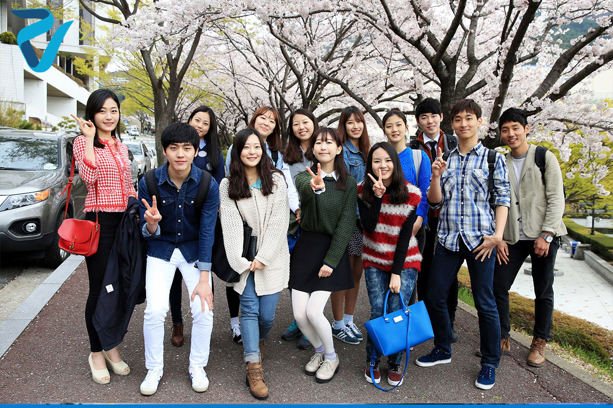 تحصیل در کره