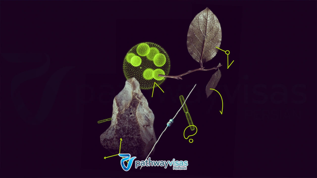 بهترین رشتهها برای پست داک در کشورهای اروپایی