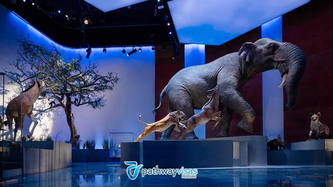 موزه تاریخ طبیعی از موزه های ابوظبی